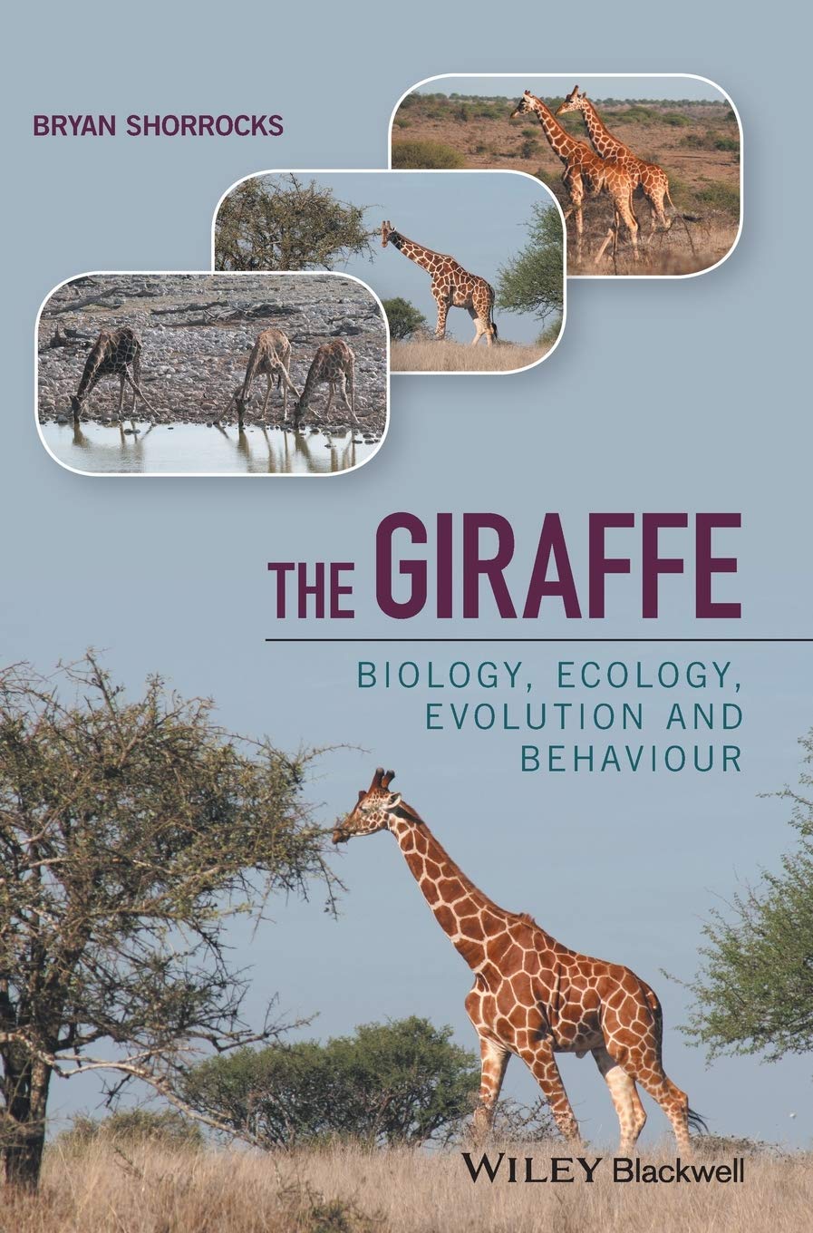 The Giraffe: Biology, Ecology, Evolution and Behaviour