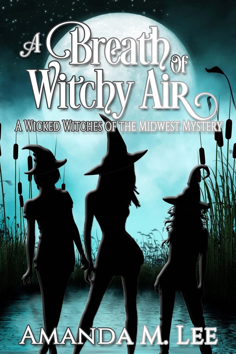 A Breath of Witchy Air (Wicked Witches of the Midwest)