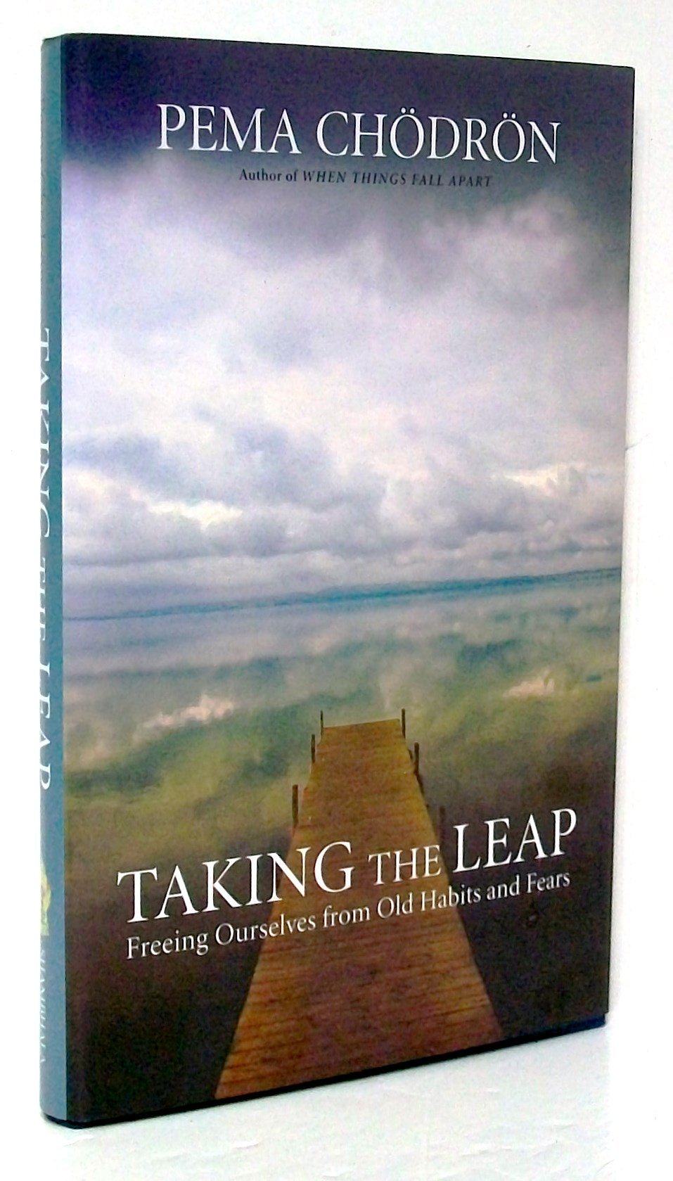 Taking the Leap: Freeing Ourselves from Old Habits and Fears